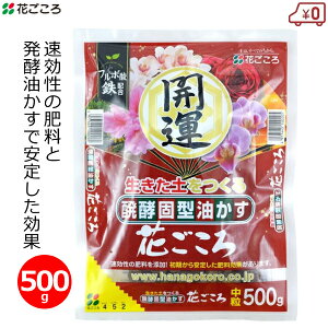 Ԃ 엿 500g  y C ~   VrWE  Ԓd ʎ | K[fjO  