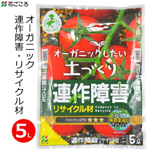 Ԃ yǍ AQTCN 5L Đy AQ΍ ͔  y I[KjbN Y L@͔|  A y ƒp ƒ؉