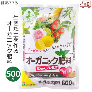 Ԃ I[KjbN엿 500g 엿 Ԃv~I L@100% L@͔| L@엿 ƒ؉ Ԓd ʎ | K[fjO