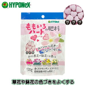 nC|lbNX 엿 ǔ 120g n[g̔엿 L A    ƒ؉ | VN pW[ 8 K[fjO 킢 