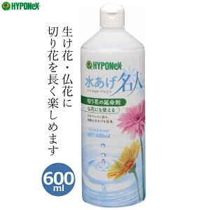 nC|lbNX ؂ԑNxێ l 600ml    ؂  t[AWg    ێ R Ԋ ԕr t[x[X d