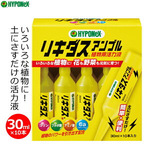 nC|lbNX ͉t L_XAv 30ml×10{ A ͍    A K[fjO   ƒp