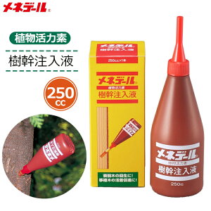 lf[ t 250ml  ؗp A͍ ͉t ؂͍̊ ͑f {  At ڐA