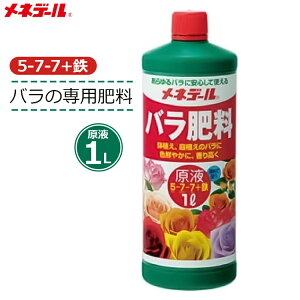 lf[ o t 1L 엿 op p t KN ͔| | K[fjO ƒp A  Ԓd o