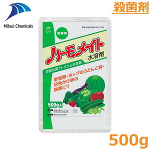 Eۍ n[Cga 500g  ǂ񂱕a ѕa h _ 