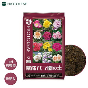 vg[t o̓y o̓y 5L o |{y KN̓y op  o͔| KNp KN y y |