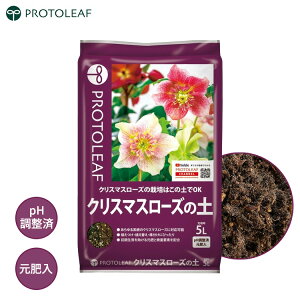 vg[t NX}X[Y̓y 5L   pH y ͔| NX}X[Y w{X 䉖 y |