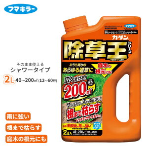  J_  Ub\[WG[X 2L V[^Cv  ͂ OzT[g t  G XMi hN_~ XXL NG NG  ԏ 󂫒n t}L[