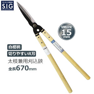 SIG  }p  ~ S67cm 荞݂΂ oT~ ӂƎ}؂ }؂ ΂ } _  G107