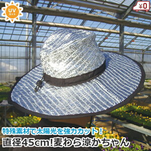 UVJbgXq ƗpXq  a45cm _ Xq  jp C[ UVnbg  Ռ ՔM ΍LXq MǑ΍ _ K[fjO O