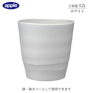 v^[ AgG|bg 30^ zCg ye12L Ci[|bgTCY8  Jo[ Aؔ  Vv vX`bN 핗 ϗtA K[fjO CeA AbvEF