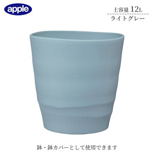 v^[ AgG|bg 30^ CgO[ ye12L Ci[|bgTCY8  Jo[ Aؔ  Vv vX`bN 핗 ϗtA K[fjO CeA Abv