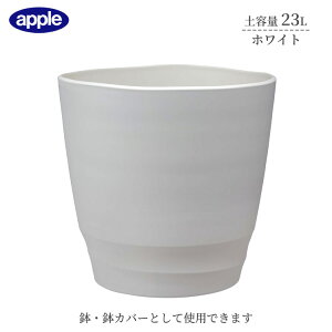 v^[ AgG|bg 37^ zCg ye23L Ci[|bgTCY10  Jo[ Aؔ  Vv vX`bN 핗 ϗtA K[fjO CeA AbvE