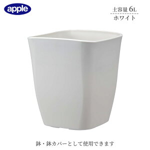 v^[ AgG|bg 220^ zCg ye6L Ci[|bgTCY6  Jo[ Aؔ  X^CbV vX`bN XNGA^Cv ϗtA K[fjO Ce