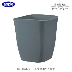 v^[ AgG|bg 220^ _[NO[ ye6L Ci[|bgTCY6  Jo[ Aؔ  X^CbV vX`bN XNGA^Cv ϗtA K[fjO C