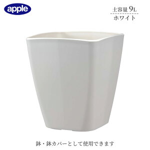 v^[ AgGXNGA 250^ zCg ye9L Ci[|bgTCY7  Jo[ Aؔ  X^CbV vX`bN XNGA^Cv ϗtA K[fjO Ce