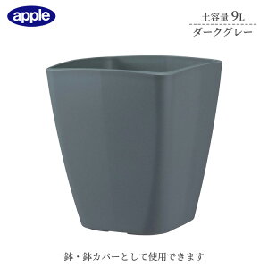 v^[ AgGXNGA 250^ _[NO[ ye9L Ci[|bgTCY7  Jo[ Aؔ  X^CbV vX`bN XNGA^Cv ϗtA K[fjO C