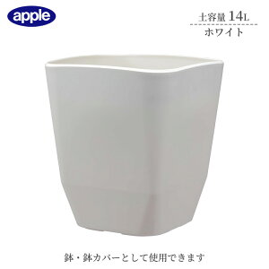 v^[ AgG|bg 290^ zCg ye14L Ci[|bgTCY8  Jo[ Aؔ  X^CbV vX`bN XNGA^Cv ϗtA K[fjO Ce