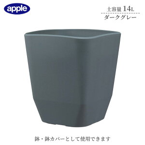 v^[ AgG|bg 290^ _[NO[ ye14L Ci[|bgTCY8  Jo[ Aؔ  X^CbV vX`bN XNGA^Cv ϗtA K[fjO C