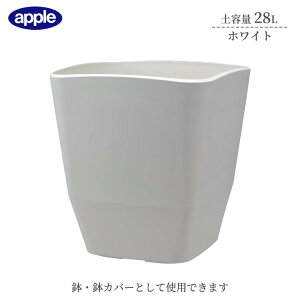 v^[ AgG|bg 360^ zCg ye28L Ci[|bgTCY10  Jo[ Aؔ  X^CbV vX`bN XNGA^Cv ϗtA K[fjO Ce