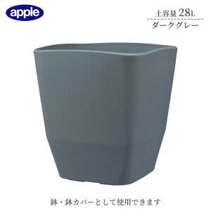 v^[ AgG|bg 360^ _[NO[ ye28L Ci[|bgTCY10  Jo[ Aؔ  X^CbV vX`bN XNGA^Cv ϗtA K[fjO C