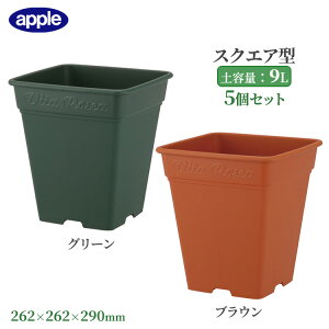 o v^[ [AXNGA 260^ 5Zbg ye9L  [^ XNGA^ Aؔ  O vX`bN lp ϗtA Rjt@[ K[fjO CeA AbvEFA