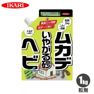 wr Jf gJQ  Op ւ悯  Jf΍ ւ Jf 쏜  Q쏜  悯  N][ ؃^[ wrJf₪鍻 1kg CJ