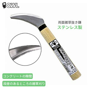 OWL ʎG XeX #224 G n  J}   G G  RpNg  | K[fjO