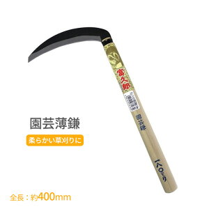 ӂ낤  |  #124 Аn   J}   _炩   _ |