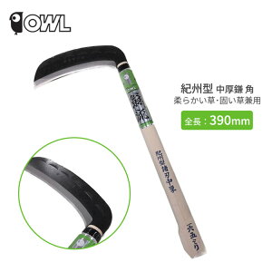 ≥  IB^ nn165mm p #158 n n J}   _炩 ł n     _ |