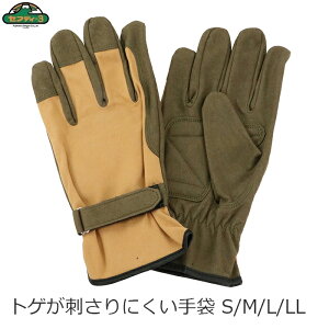 ZteB[3 |p S/M/L/LL gQhɂ O[u o   T{e o͔| _  q K[fjO  fB[X R