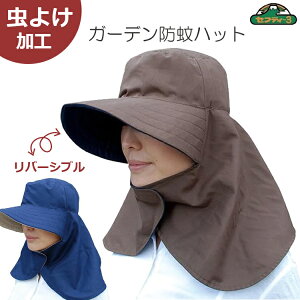 ZteB3 h K[fnbg 悯  o[Vu uE×lCr[ K[fjO | Xq 悯  _ _ ΍L 