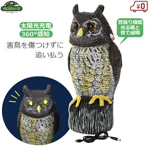 ZteB3 悯  h ZT[ U tNE z drsv u  ΍  ng XY Nh qh lR x_   S~u pjbNӂ낤2 STYF-4