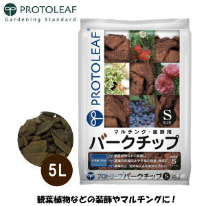 vg[t o[N`bv S 5L }`O Ebh`bv OhJo[   diy ϗtA i