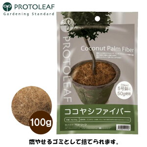 vg[t RRVt@Co[(i`) 100g }`O ȐAؔ p nMOp