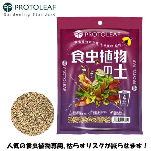 vg[t HA̓y 0.6L̂܂܎g _̓y 엿Y _ ې ʋC