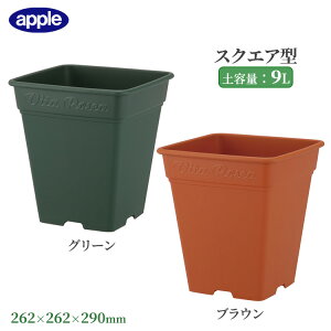 o v^[ [AXNGA 260^ ye9L  [^ XNGA^ Aؔ  O vX`bN lp ϗtA Rjt@[ K[fjO CeA AbvEFA