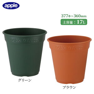 o v^[ [A|bg 380^ ye17L  [^ ی^ Aؔ  O vX`bN ϗtA Rjt@[ K[fjO CeA AbvEFA