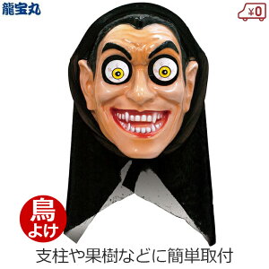 悯ObY c x_ ng悯ObY  h ΍ ǂ    blRޑ哝   _ ʎ JX   K-031