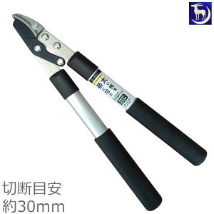  Ar}؂ YS-300 ؒfڈ30mm }؂͂ } }͂ ΂  荞 