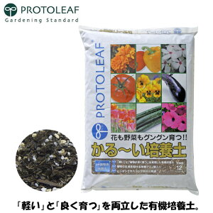 vg[t |{y y|{y 12L |py |p̓y ͔|p   y