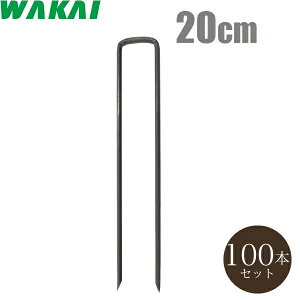 Y hV[g  s R̎s 20cm×100{ s Œs V[gY Y UsY