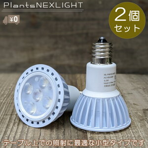 A琬Cg 2Zbg LED A琬 F d A琬pCg  CeBO zCg PLANTS NEXLIGHT PAR16