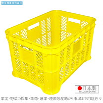 楽天市場】20kg 収穫コンテナの通販