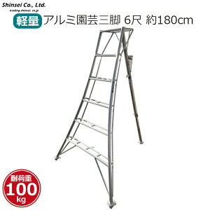 y@llz VZC A~Or |p Or 6 180cm L120cm ω׏d100kg y  A~ T|[g`F[t   Ɨp _ _ A  