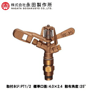 ic XvN[ S] R1/2 NF-25 vp U@ U wbh  _Ǝ _Ɨpi