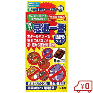 t^ ԌŌ` 25g×8  CmVV lR lY~  L 쏜 Qb Qb΍ K[fjO