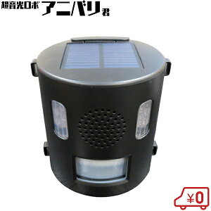 Aj}oA AjoN IJ-ANB21 hbCg hb 쏜 ZT[ A[ Qb Qb΍