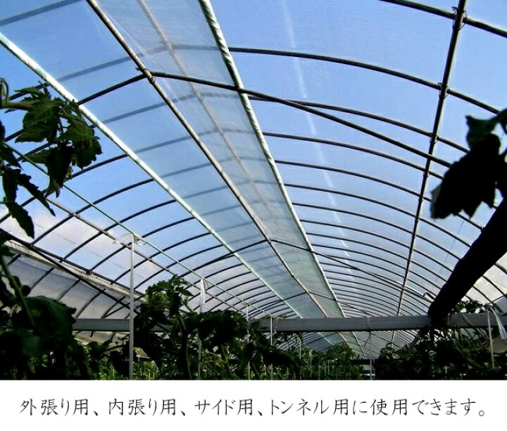 楽天市場】温室 ビニールフィルム 農POフィルム 0.05mm×1.35m×5m～50m 