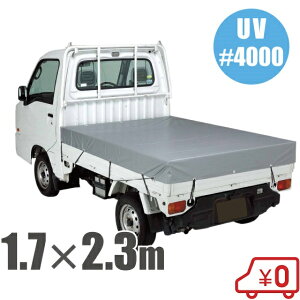 ygbN בV[g yg gbNV[g Soht 170cm×230cm #4000 ygV[g UVV[g UVJbg Ռ gbNpi Vo[V[g